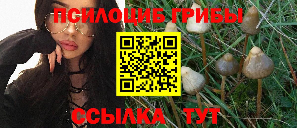 Псилоцибиновые грибы MAGIC MUSHROOMS Узловая